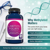 MD Life L-Methylfolate 10 mg Supplement - Professional-Grade Active L Methylfolate Supplement - 60 Capsules - L-Methylfolate 10mg - Maximum Potency M