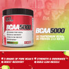 Evlution EVL BCAAs Amino Acids Powder - BCAA Powder Post Workout Recovery Drink and Stim Free Pre Workout Energy - 5g Branched Chain Amino Acids Supp