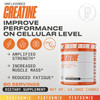 PERFORMIX - Creatine Monohydrate - 5000 mg Per Serving (5g) - Pre Workout - Increase Muscle Mass, Improve Strength & Reduce Fatigue - Creatine Monohy