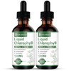 [2-Pack] Liquid Chlorophyll Drops - All-Natural Concentrate  Immune System Support, Energy Booster, and Digestion  from Mulberry Leaves - 240 Servi