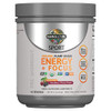 Garden of Life Sport Organic Plant-Based Energy + Focus Vegan Clean Pre Workout Powder, Sugar & Gluten Free BlackBerry Cherry with 85mg Caffeine, Nat