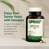 Standard Process Senaplex - Nervous System Support with Niacin, Vitamin B12 & B6 - Supports Brain Health & Cellular Health - Offers Antioxidant Activ