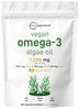 Micro Ingredients Vegan Omega 3 Algae Oil, 240 Veggie Softgels | Fish Oil Alternative | DHA 500mg & DPA 100mg | Carrageenan Free | Plant-Based Omega