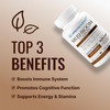 Approved Science Mushroom Complex - Support The Immune System and Cognitive Function - with Lions Mane, Chaga, Reishi, Turkey Tail, Shiitake, Oyster