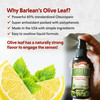 Barlean's 2 Pack Olive Leaf Complex Throat Spray with Peppermint, Lemon, and Sage for Itchy Throat Relief, Immune Support Supplement, Liquid Blended