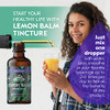 Lemon Balm Tincture 2 oz  Organic Herbal Extract | Alcohol Free | Vegan Herbal Drops