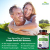 Zazzee High Strength Grape Seed 50:1 Extract, 180 Vegan Capsules, 95% Polyphenols, 400 mg per Capsule, 6 Month Supply, Standardized and Concentrated