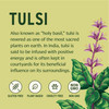 Banyan Botanicals Tulsi (Holy Basil)  Uplifting Adaptogen  Organic Lung and Respiratory Health Supplement*  90 Tablets  Non-GMO Sustainably Sourc