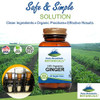 Pure Mountain Botanicals Ginger Capsules - Kosher Vegan with 1000mg Organic Ginger Root Supplement