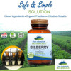 Pure Mountain Botanicals Bilberry Extract Supplement Vegan Kosher Capsules with 250mg Organic Bilberry Leaf & 50mg Potent Extract of Billberries