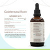HerbEra Goldenseal Root B120 Alcohol-Free Herbal Extract Tincture, Super-Concentrated Responsibly farmed Goldenseal (Hydrastis Canadensis) (4 fl oz)