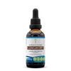 Secrets of the Tribe Lungwort Tincture Alcohol-Free Liquid Extract, Lungwort (Pulmonaria officinalis) Dried Leaf (2 FL OZ)