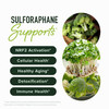 50MG Sulforaphane Supplement from Broccoli Sprouts | NRF2 Activation, Cellular Health & Immune Support | Glucoraphanin, Myrosinase & Antioxidants | T