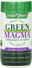 Green Foods Green Magma Nutritional Supplement, 500 Tablets