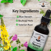 Christopher's Original Formulas Nerve Formula, Natural Herbal Supplement, 2 oz