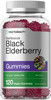 Horbaach Black Elderberry Gummies | 120 Count | Sambucus Extract | with Zinc and Vitamin C | Berry Flavor | Vegan, Non-GMO, and Gluten Free Supplemen