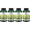Swanson Sweet Wormwood - May Promote GI Gut Health, Microbial Balance & Digestive Health Support - Herbal Supplement with Artemisinin - (90 Capsules,