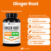 Healthfare Ginger Root Extract 4000mg | Supplement | 200 Vegan Pills | Digestive Support | High Potency | Non-GMO, Gluten-Free | Made in USA