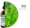 NutraMedix Artemisia Annua - Immune Support Supplement for Healthy Microbial Support + Antioxidant Activity - Sweet Annie Herb Extract (2 oz)