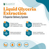 Rejuvica Health IntestiClear - Advanced Intestinal Cleanse Support for Humans - All-Herbal Liquid Formula for Fast Absorption - Bonus Liver Support -