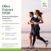 Terry Naturally Olive Extract EP20 - Brain Health Support Supplement with Olive Leaf Extract - Herbal Supplement to Aid Healthy Immune System Functio