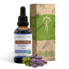 Bugleweed USDA Organic | Alcohol-FREE Extract, High-Potency Herbal Drops, Respiratory System | Made from 100% Certified Organic Bugleweed (Ze Lan, Ly