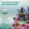 USDA Organic Lymphatic Drainage Supplement - Echinacea | Elderberry | Dandelion | Rosehip | Cleavers | Calendula | Burdock - Made in USA - Lymph Syst