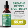 5-in-1 Mullein Drops for Lungs and Bronchial - Respiratory Lung Health Support with Mullen Leaf Extract for Lungs - Mullein Tincture with Elderberry,