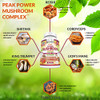 FRESH HEALTHCARE Mushroom Supplement - Lions Mane, Cordyceps, Reishi, Turkey Tail, and Shitake - Immune and Brain Support - Peak Power Mushroom Suppl