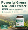EGCG Green Tea Extract Capsules - Super High Potency Green Tea Pills Antioxidant Rich Formula Packed with Polyphenols Catechins & EGCG - 500mg Per Ca