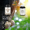 SMSHEALTHPRODUCTS.com Lion's Mane Pills Mushroom Cognition Capsules (60 Veggie Capsules) 30% Polysaccharides- Lions Mane Extract Capsules | Brain Sup