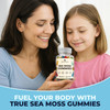 TrueSeaMoss Irish Sea Moss Gummies with Burdock Root & Bladderwrack  Formula for Adults & Kids  60 Gummies