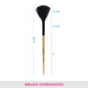 Vega Fan Brush 1 Set