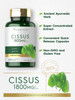Carlyle Cissus Quadrangularis | 200 Capsules | Traditional Herb Extract Supplement | Non-GMO and Gluten Free Formula