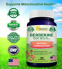 aSquared Nutrition Pure Berberine 1000mg Supplement - 180 Veggie Capsules, Natural Berberine Hydrochloride HCL Plus, Max Strength 1000 mg (2X 500mg),