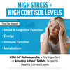 Force Factor Amazing Ashwa, KSM-66 Ashwagandha Supplement for Stress Relief, Focus, Memory, Immune Support, With Vitamins, Minerals & Antioxidants, C