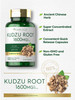 Carlyle Kudzu Root | 100 Extract Capsules | Non-GMO and Gluten Free Formula | Traditional Herbal Supplement