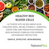NaturesPlus Hema-Plex Iron - 60 Fast-Acting Softgels - 3 Pack - 85 mg Iron + Vitamin C & Bioflavonoids for Healthy Red Blood Cells - Gluten Free - 60