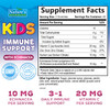 Kids Immune Support Supplement Gummies - Daily Childrens Vitamins C, Zinc & Echinacea - Gummy for Kids Immune Support, Ages 4 and Up, Natural Berry F