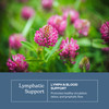 Eclectic Herb - Lymph & Blood Cleanse | Lymphatic & Circulatory Support | Freeze Dried, Concentrated Herbal Supplement | Natural, Wildcrafted, Non-GM