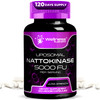 Nattokinase Supplement Capsules 5000 FU, Third-Party Tested Nattokinase  Enzymes from Japanese Natto  Daily Wellness Support  120 Count (Pack of 1