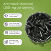 NaturaLife Labs Activated Charcoal 1200 mg per Serving  from Coconut Shells  100 Veg Capsules  Non-GMO, Gluten-Free, Vegan