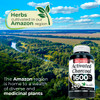 FITO MEDIC'S Lab Activated Charcoal Capsules, 240 Capsules, Dietary Supplement