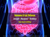 Biotest Beta-Glucan - Faster & Stronger Immune Response* - 30 Servings