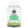 Garden of Life Kids Probiotic 3 Billion CFU, Cherry Flavor Gummies - Sugar Free Once Daily Probiotics for Kids, Probiotics plus Fiber for Children's