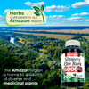 FITO MEDIC'S Lab Slippery Elm Bark Supplement, 200 Capsules, Herbal Formula