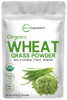 Sustainably US Grown, Organic Wheat Grass Powder (100% Whole-Leaf), 16 Ounce , Rich in Immune Vitamins, Fibers and Minerals, Support Digestion Functi