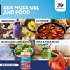Sea Moss Gel by BioVitalica - Irish sea Moss raw Organic - Premium Quality - Dr Sebi, Vegan superfood for Cells - 100% Natural seamoss Gel (Pack of 1