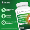 Dr. Berg Glucosamine Chondroitin MSM Turmeric & Boswellia - Advanced Joint Support Supplement with 1500 mg Glucosamine Sulfate - Includes 120 Capsule
