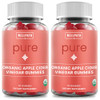 WellPath Pure ACV Gummies (2 Pack) - Apple Cider Vinegar with Mother - USDA Organic Gummy with Ginger for Gut Health | Vegan, Non-GMO, 120 Ct